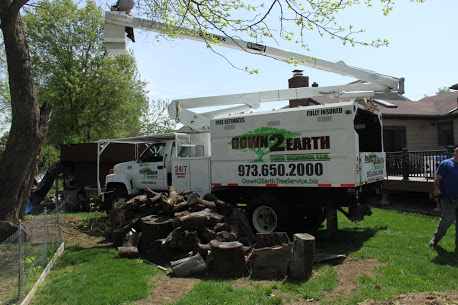 Photo of Down2Earth Tree Service, LLC in Saddle Brook City, New Jersey, United States - 8 Picture of Point of interest, Establishment