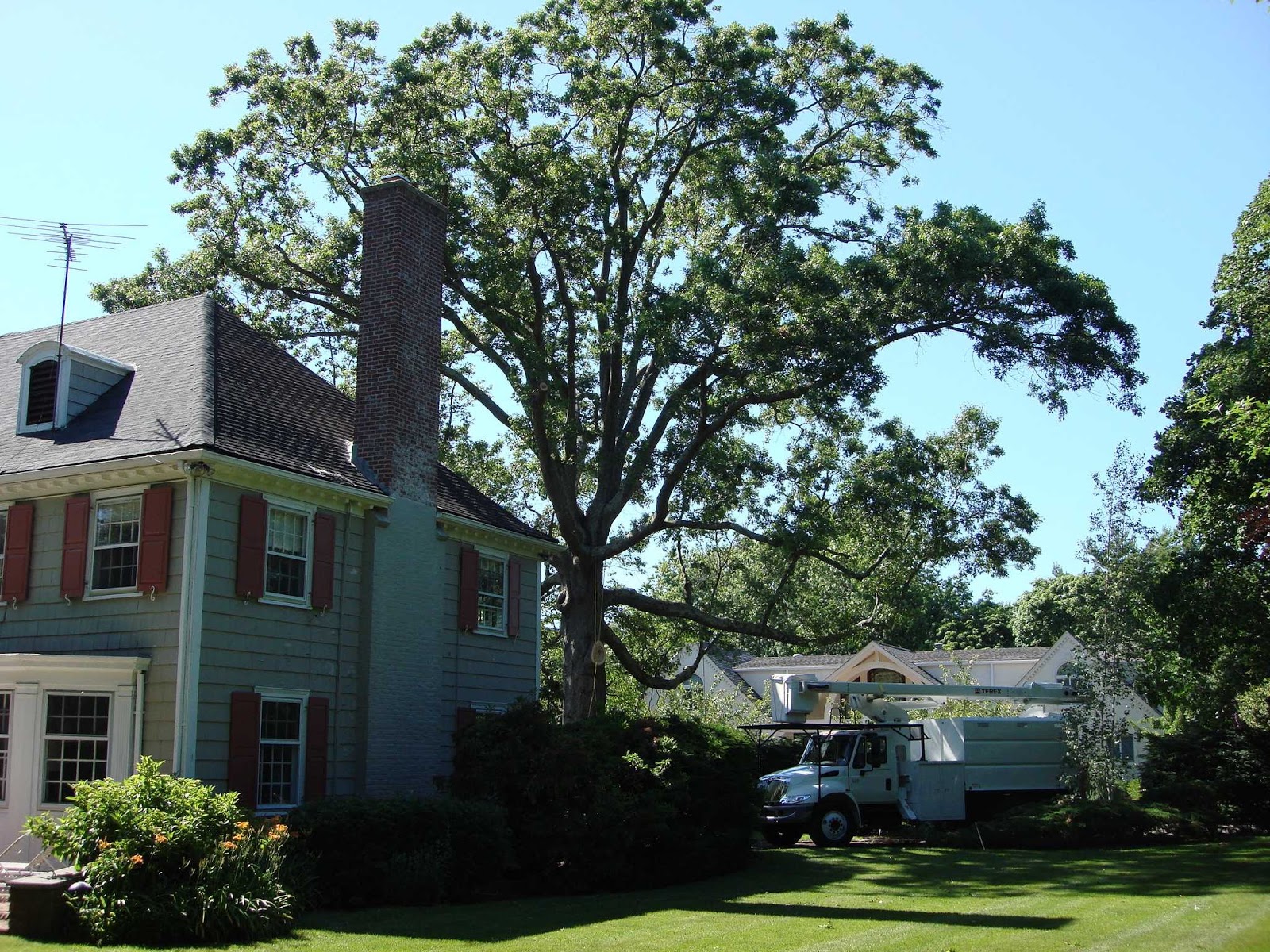 Photo of The Tree Wise Men in Rockville Centre City, New York, United States - 1 Picture of Point of interest, Establishment