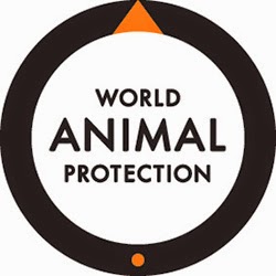 Photo of World Animal Protection in New York City, New York, United States - 1 Picture of Point of interest, Establishment