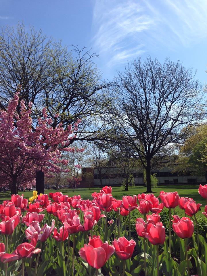 Photo of Kean University - Office of Undergraduate Admissions in Union City, New Jersey, United States - 6 Picture of Point of interest, Establishment, University