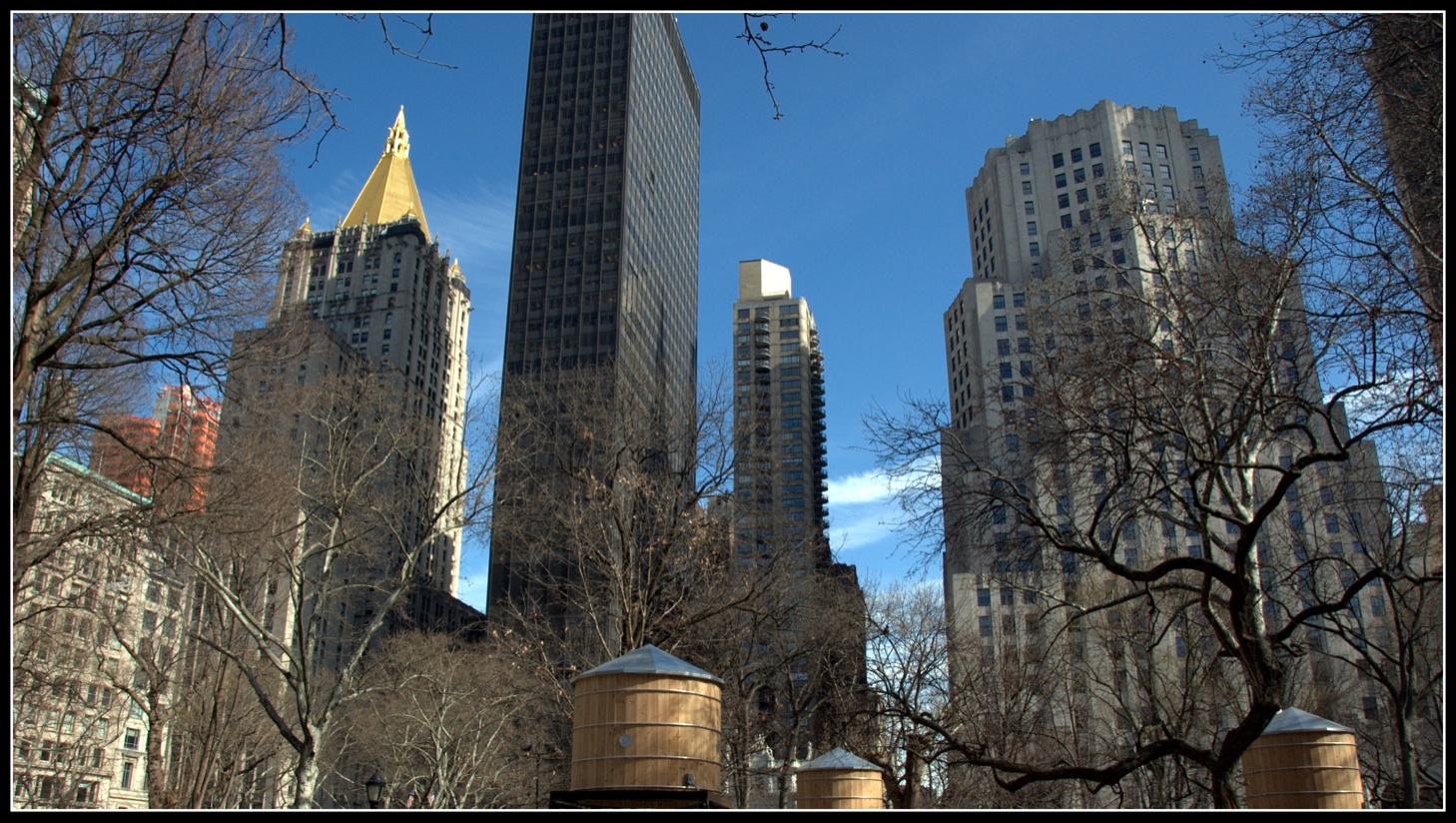 Photo of Madison Square Dog Run in New York City, New York, United States - 7 Picture of Point of interest, Establishment