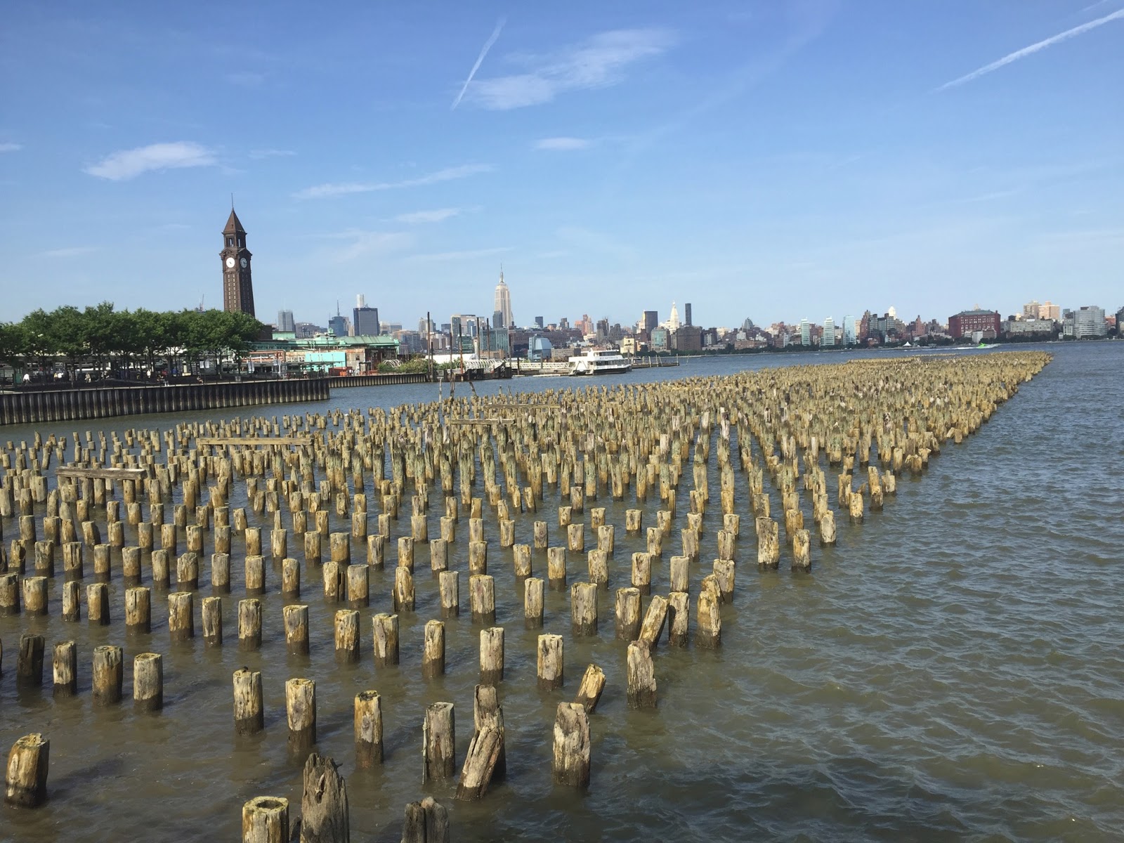 Photo of Laguna in Jersey City, New Jersey, United States - 1 Picture of Point of interest, Establishment