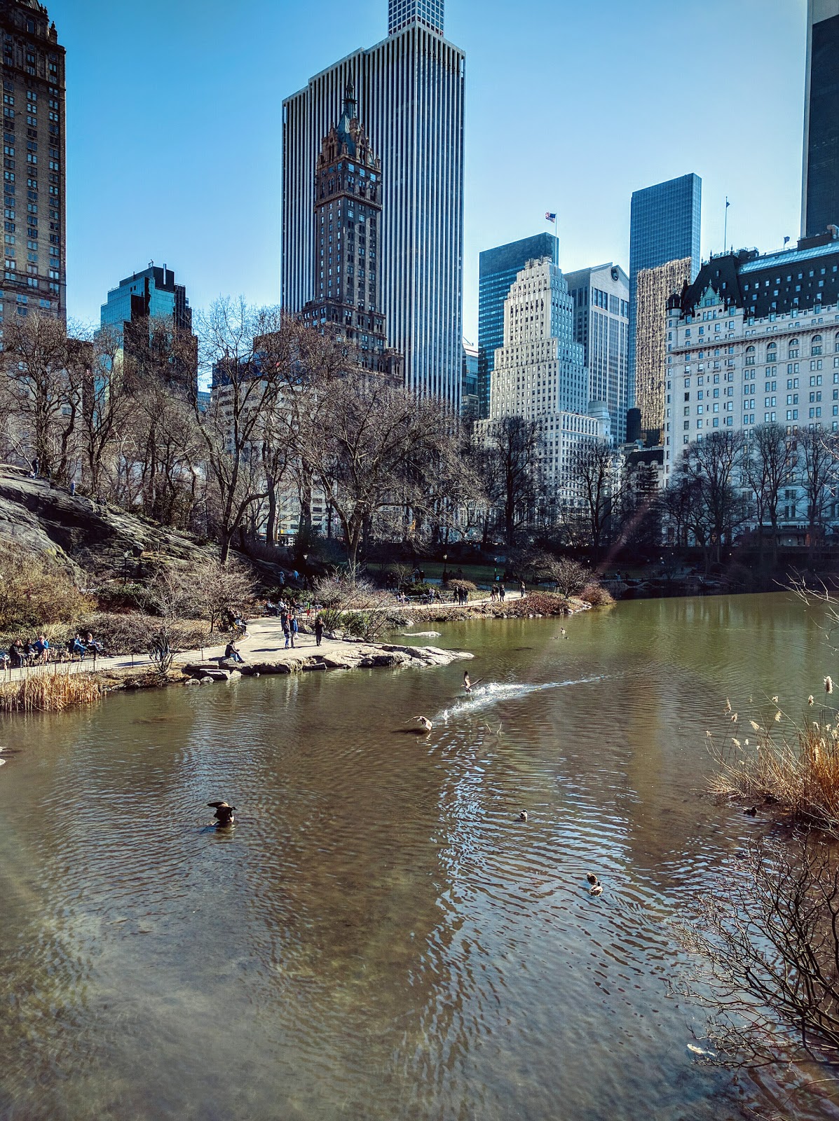 Photo of Hallett Nature Sanctuary in Manhattan City, New York, United States - 5 Picture of Point of interest, Establishment, Park