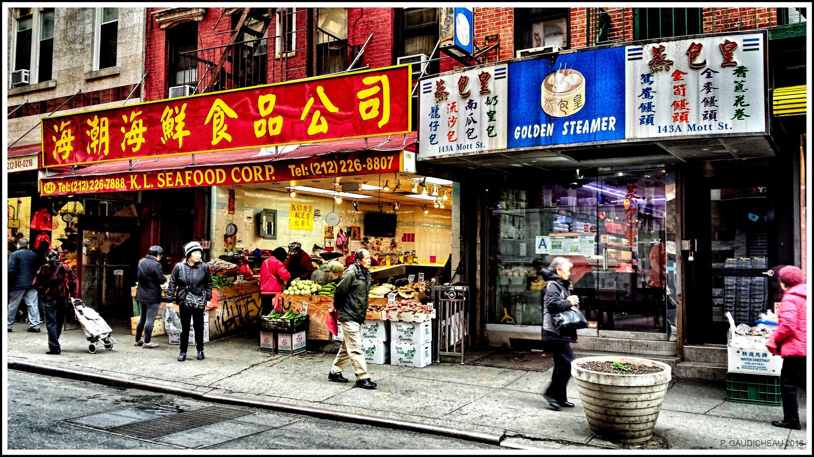 Photo of Golden Steamer in New York City, New York, United States - 4 Picture of Food, Point of interest, Establishment, Store, Bakery