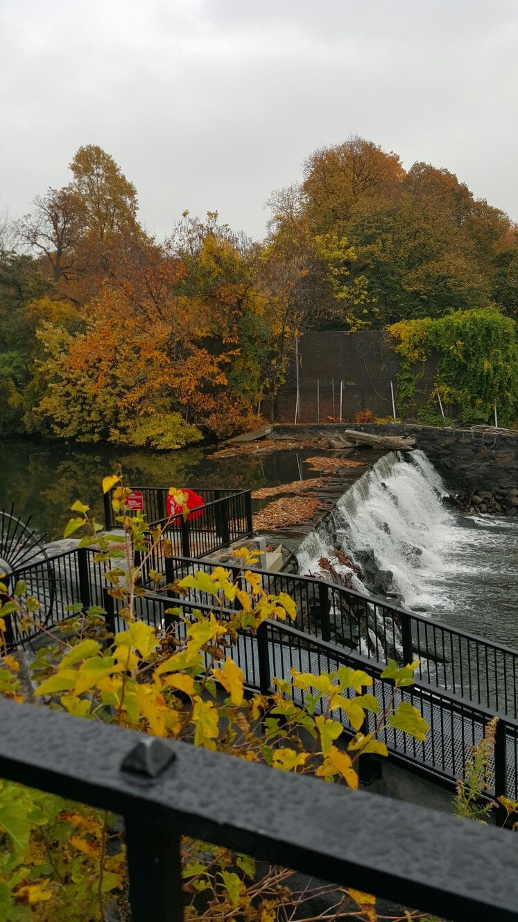Photo of Seton Falls Park in Bronx City, New York, United States - 1 Picture of Point of interest, Establishment, Park