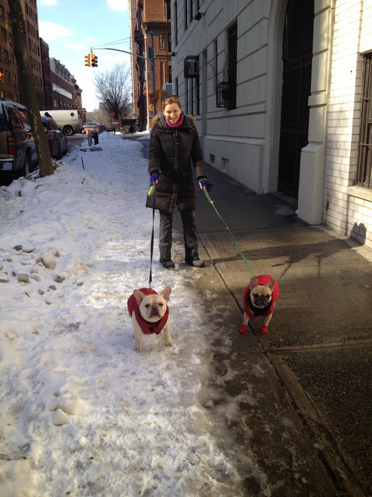 Photo of Luke Dogwalker - May the PAWS be with you! in New York City, New York, United States - 9 Picture of Point of interest, Establishment