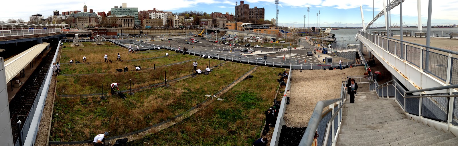 Photo of The Living Roof by living-restoration.com in Staten Island City, New York, United States - 5 Picture of Point of interest, Establishment, Park