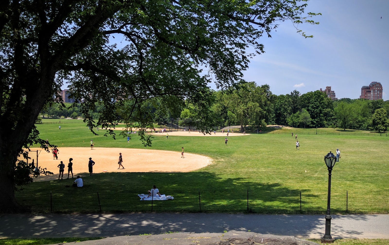Photo of North Meadow Baseball Field 5 in New York City, New York, United States - 2 Picture of Point of interest, Establishment