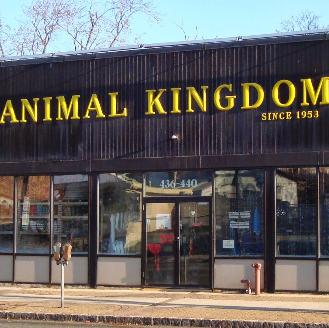 Photo of Animal Kingdom in East Orange City, New Jersey, United States - 2 Picture of Point of interest, Establishment, Store, Pet store