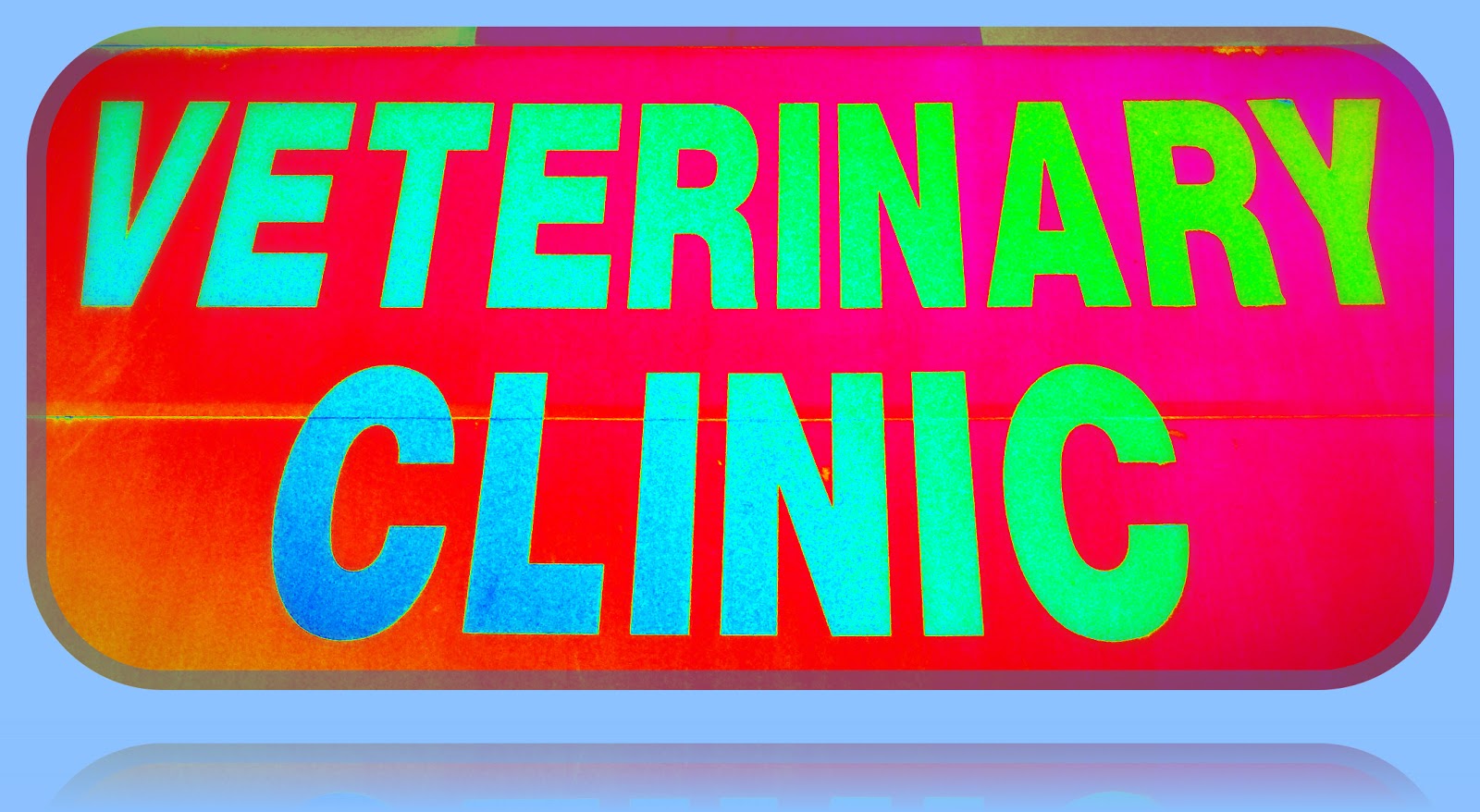 Photo of Ideal Pet Veterinary Clinic in New York City, New York, United States - 6 Picture of Point of interest, Establishment, Health, Veterinary care