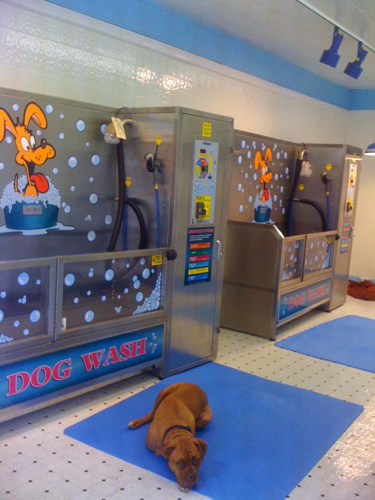 Photo of Hoboken Dog Wash in Hoboken City, New Jersey, United States - 2 Picture of Point of interest, Establishment