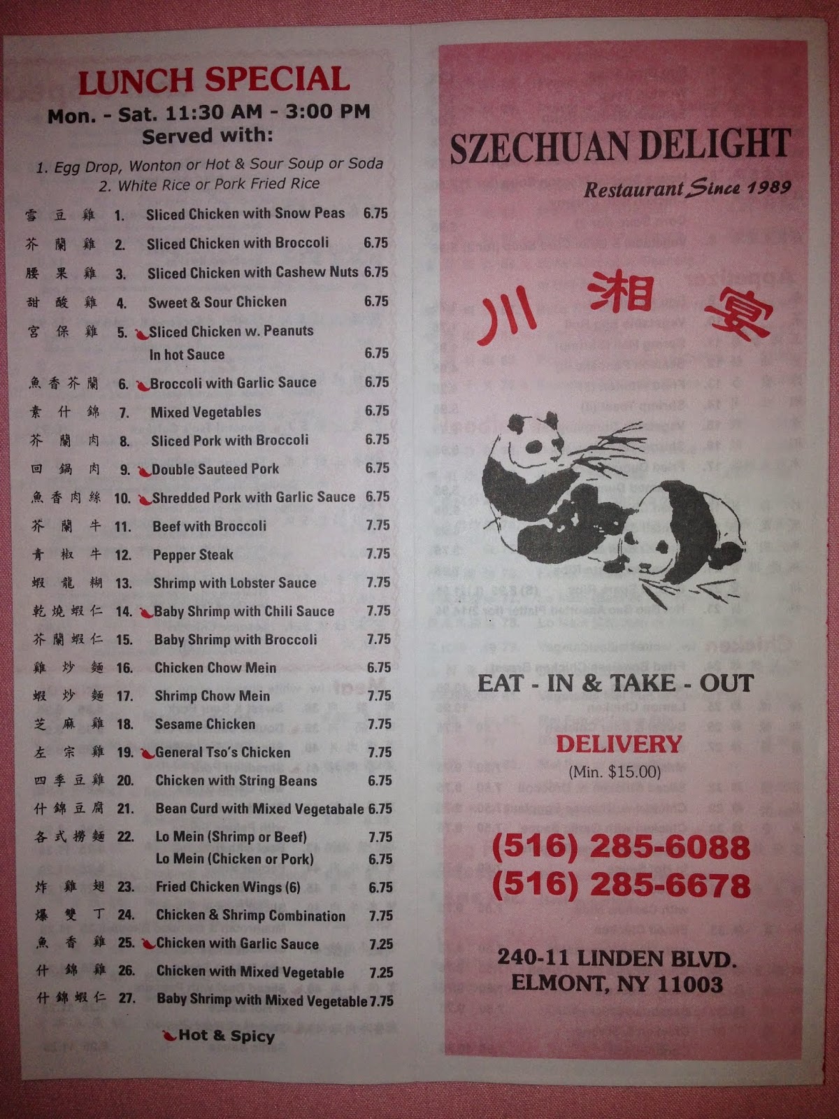 Photo of Szechuan Delight in Elmont City, New York, United States - 4 Picture of Restaurant, Food, Point of interest, Establishment