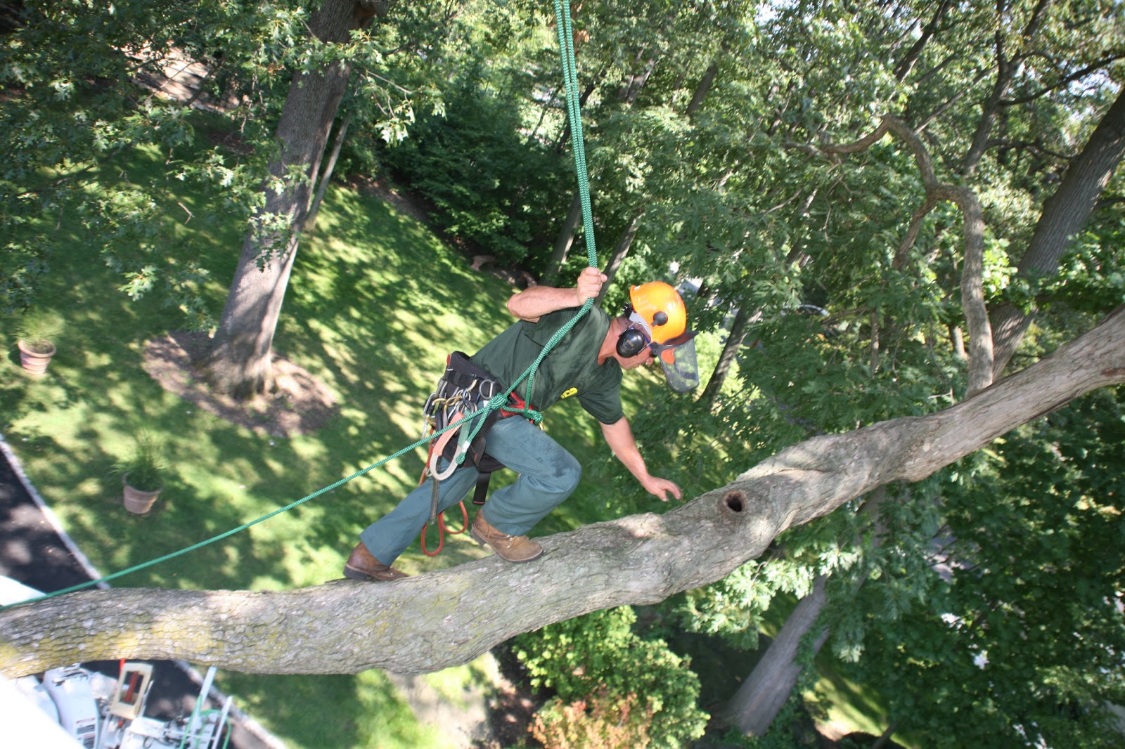 Photo of Almstead Tree, Shrub & Lawn Care Co. in New Rochelle City, New York, United States - 6 Picture of Point of interest, Establishment, General contractor