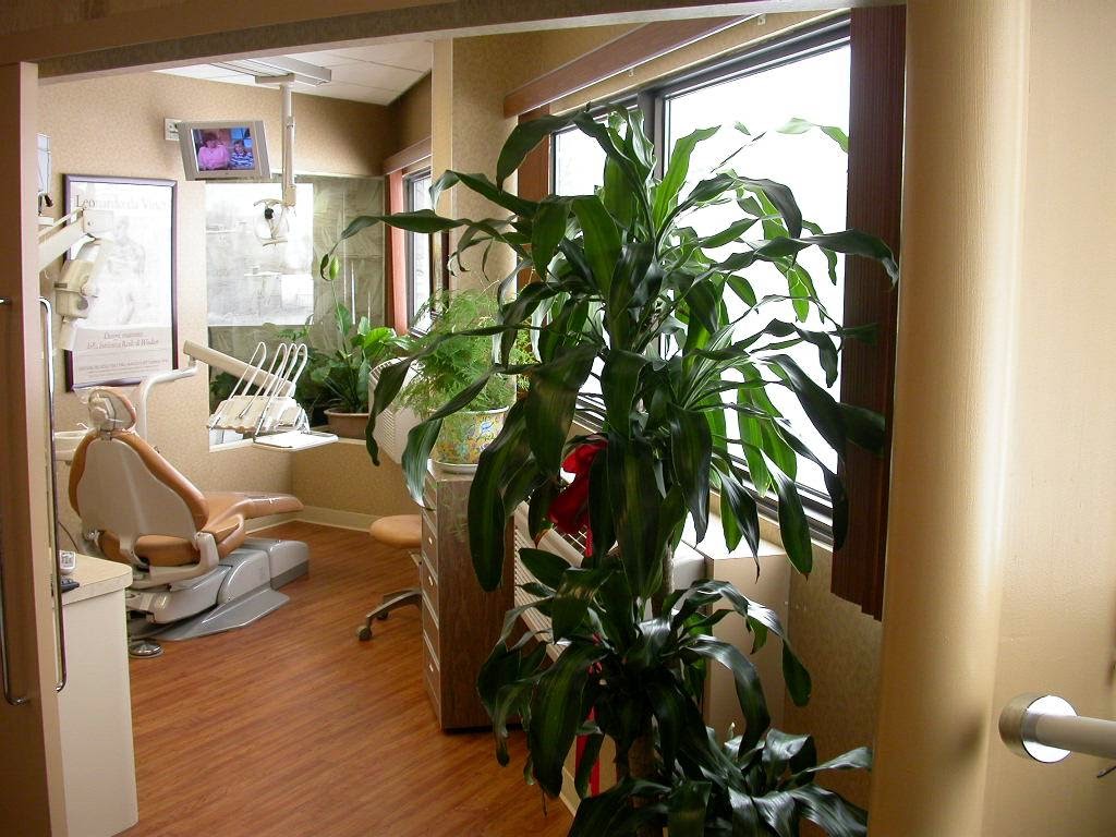 Photo of Cardiodontal® - Dental Wellness in Great Neck City, New York, United States - 2 Picture of Point of interest, Establishment, Health, Dentist