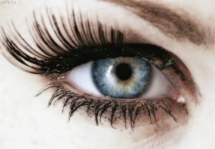 Photo of Ada Eyelash in Lynbrook City, New York, United States - 1 Picture of Point of interest, Establishment, Beauty salon