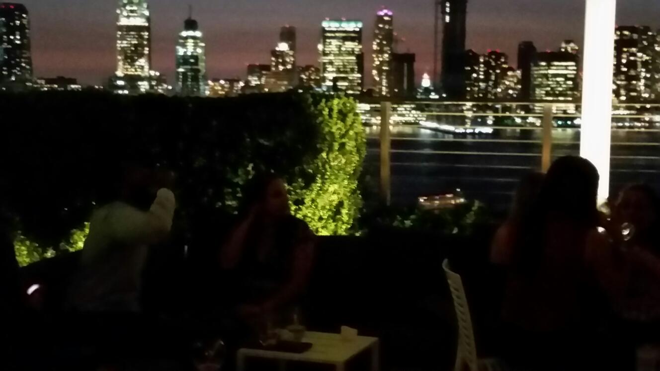 Photo of The Loopy Doopy Rooftop Bar in New York City, New York, United States - 5 Picture of Point of interest, Establishment, Bar