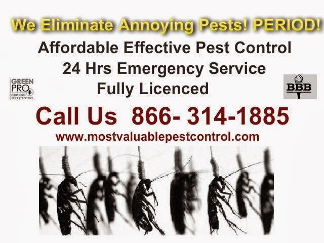 Photo of Most Valuable Pest Control in Bronx City, New York, United States - 1 Picture of Point of interest, Establishment, Store, Home goods store