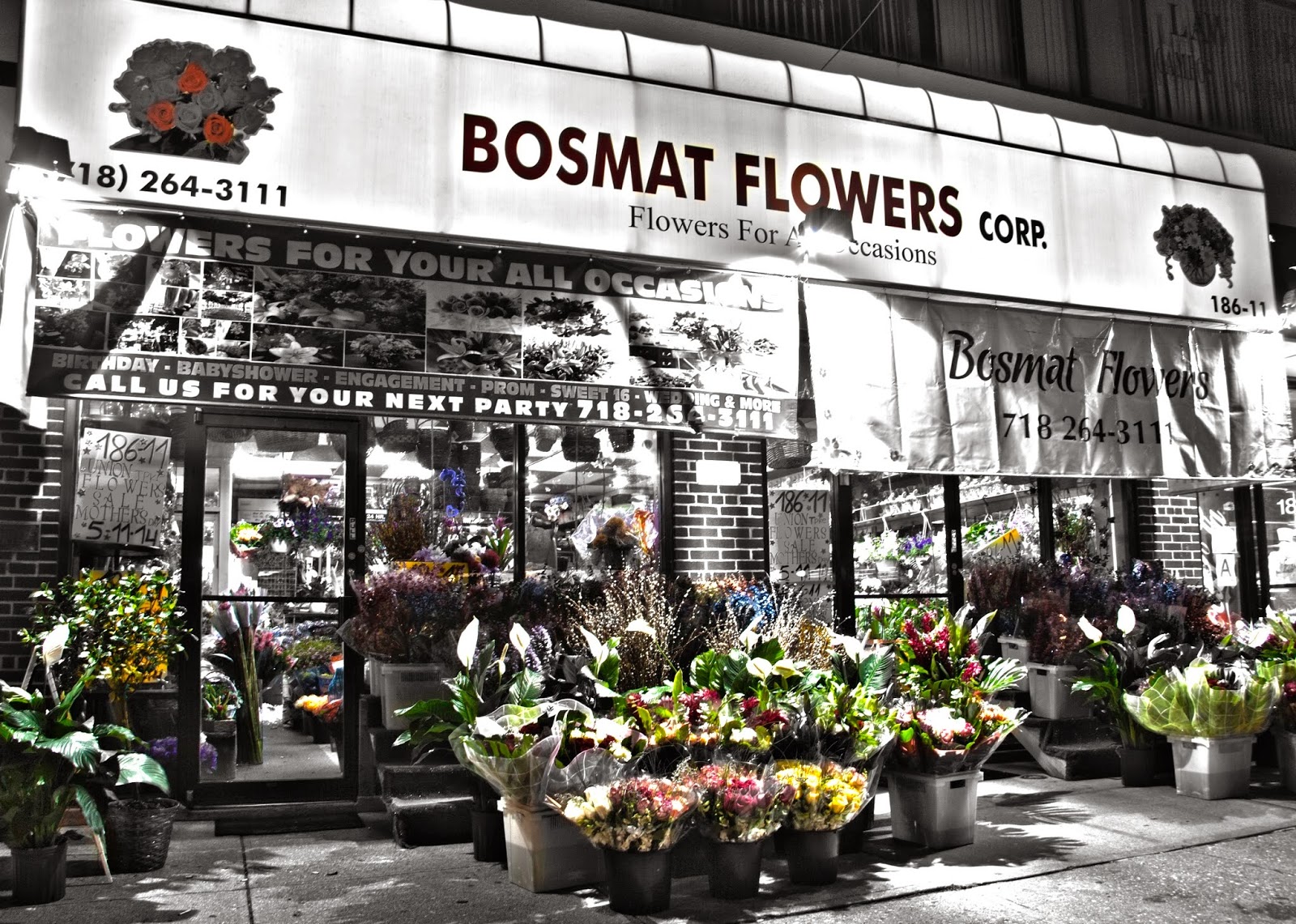 Photo of bosmat flowers in Queens City, New York, United States - 1 Picture of Point of interest, Establishment, Store, Florist