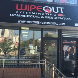 Photo of Wipeout Exterminating LLC in Queens City, New York, United States - 1 Picture of Point of interest, Establishment, Store, Home goods store