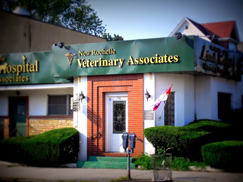 Photo of New Rochelle Animal Hospital in New Rochelle City, New York, United States - 1 Picture of Point of interest, Establishment, Veterinary care