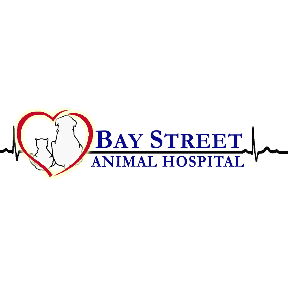 Photo of Bay Street Animal Hospital in Staten Island City, New York, United States - 5 Picture of Point of interest, Establishment, Store, Health, Pharmacy, Veterinary care