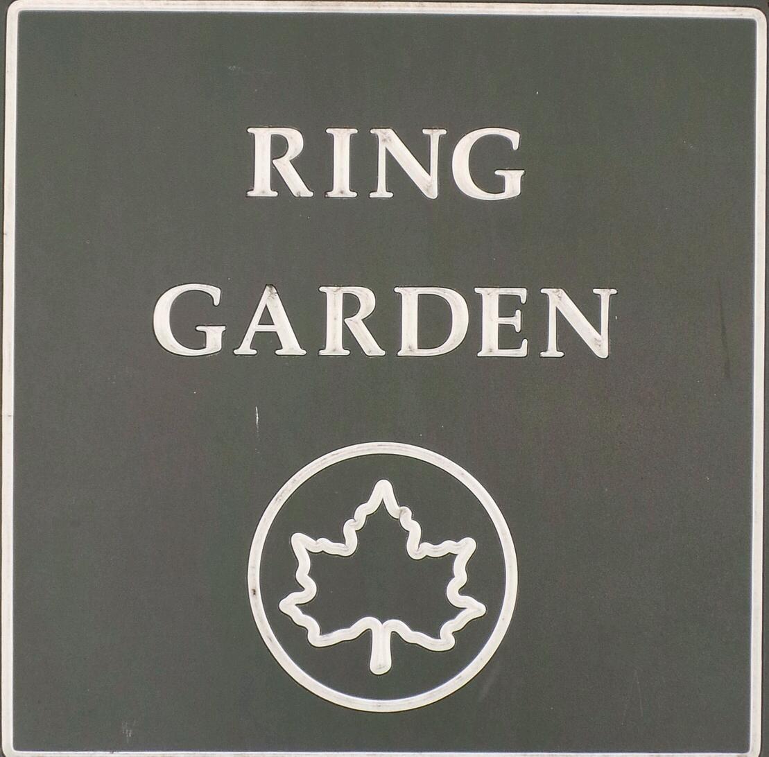 Photo of RING Garden in New York City, New York, United States - 2 Picture of Point of interest, Establishment, Park