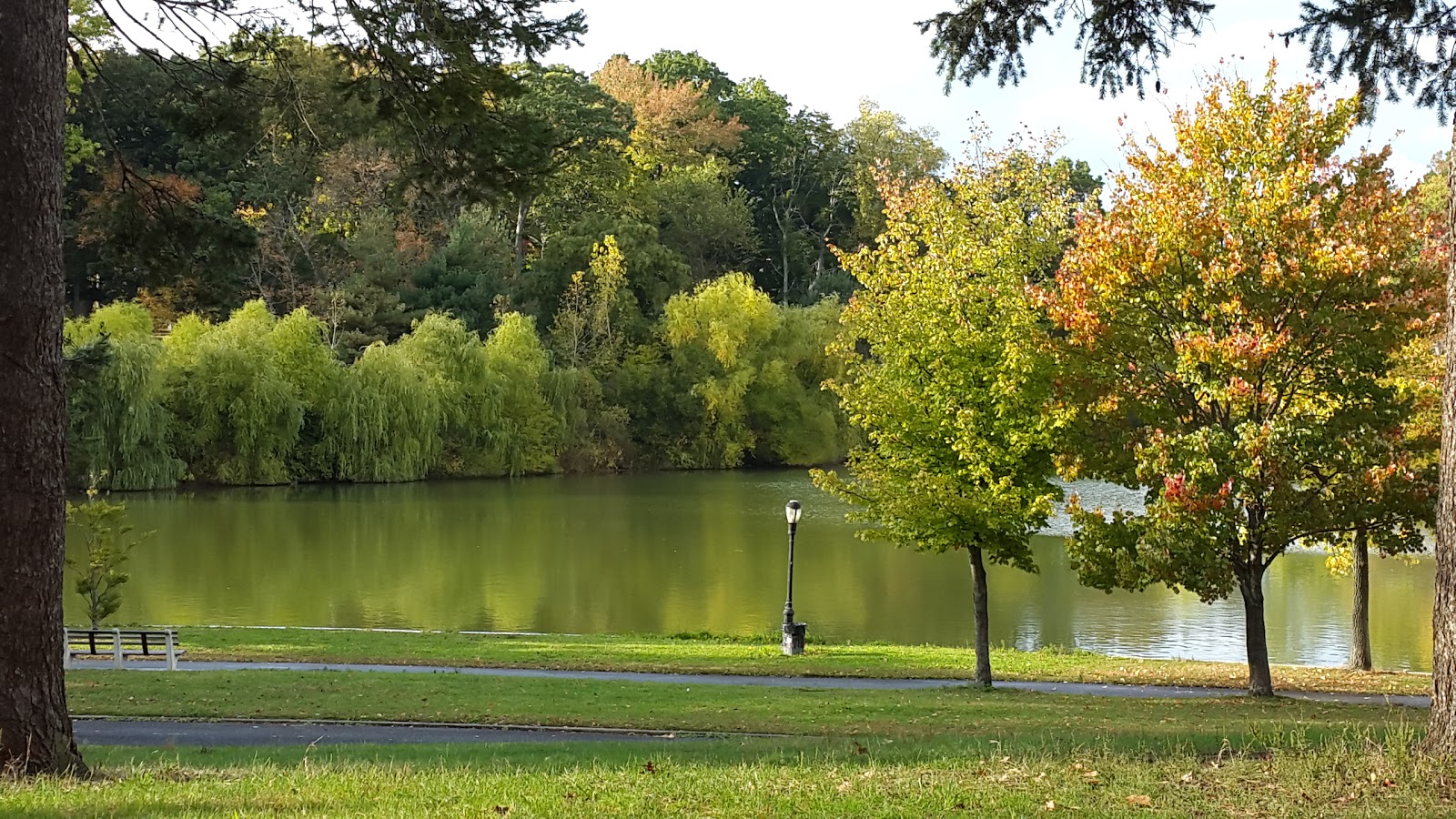 Photo of Kissena Park in Flushing City, New York, United States - 8 Picture of Point of interest, Establishment, Park