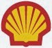 Photo of Shell in Great Neck City, New York, United States - 1 Picture of Point of interest, Establishment, Gas station, Car repair