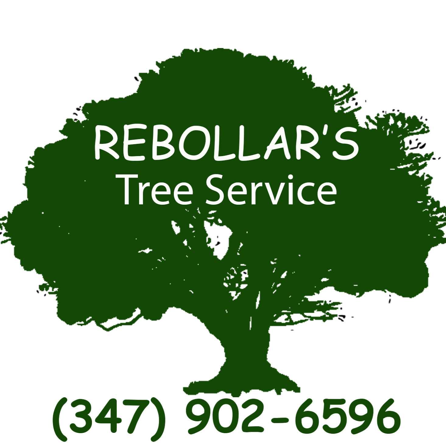 Photo of Rebollar's Tree Service in Richmond City, New York, United States - 2 Picture of Point of interest, Establishment
