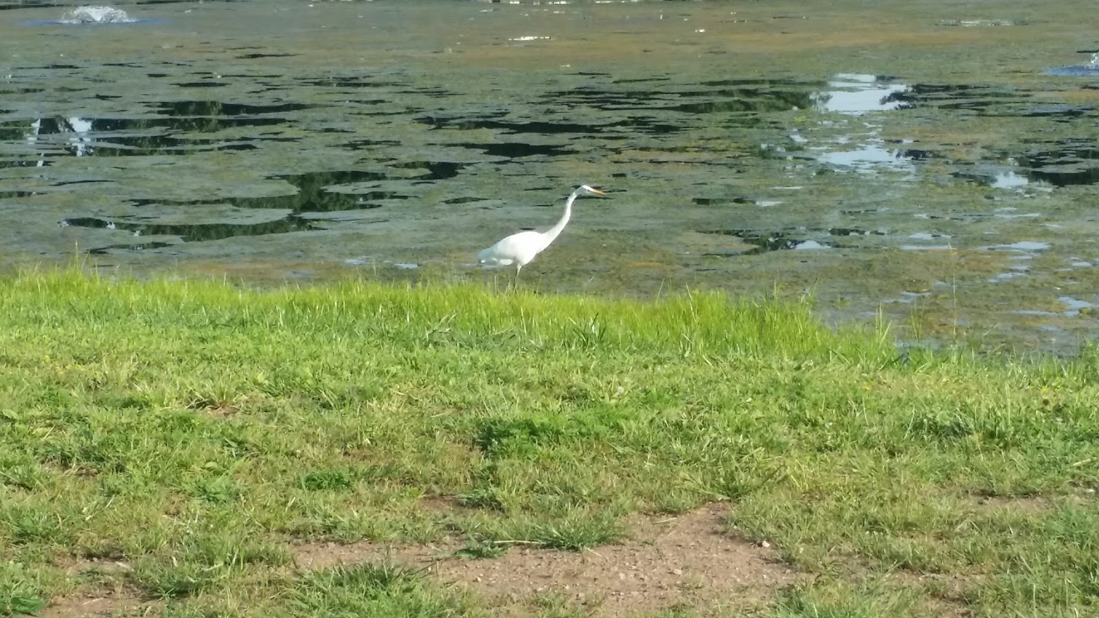 Photo of Main Memorial Park North in Clifton City, New Jersey, United States - 5 Picture of Point of interest, Establishment, Park