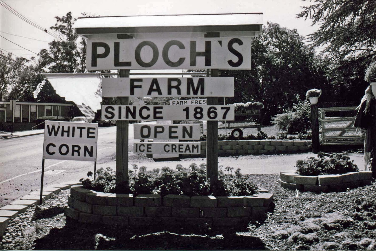 Photo of Ploch's Farm in Clifton City, New Jersey, United States - 1 Picture of Food, Point of interest, Establishment