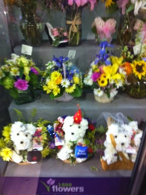 Photo of 1-800-Flowers in Mount Vernon City, New York, United States - 3 Picture of Food, Point of interest, Establishment, Store, Home goods store, Florist