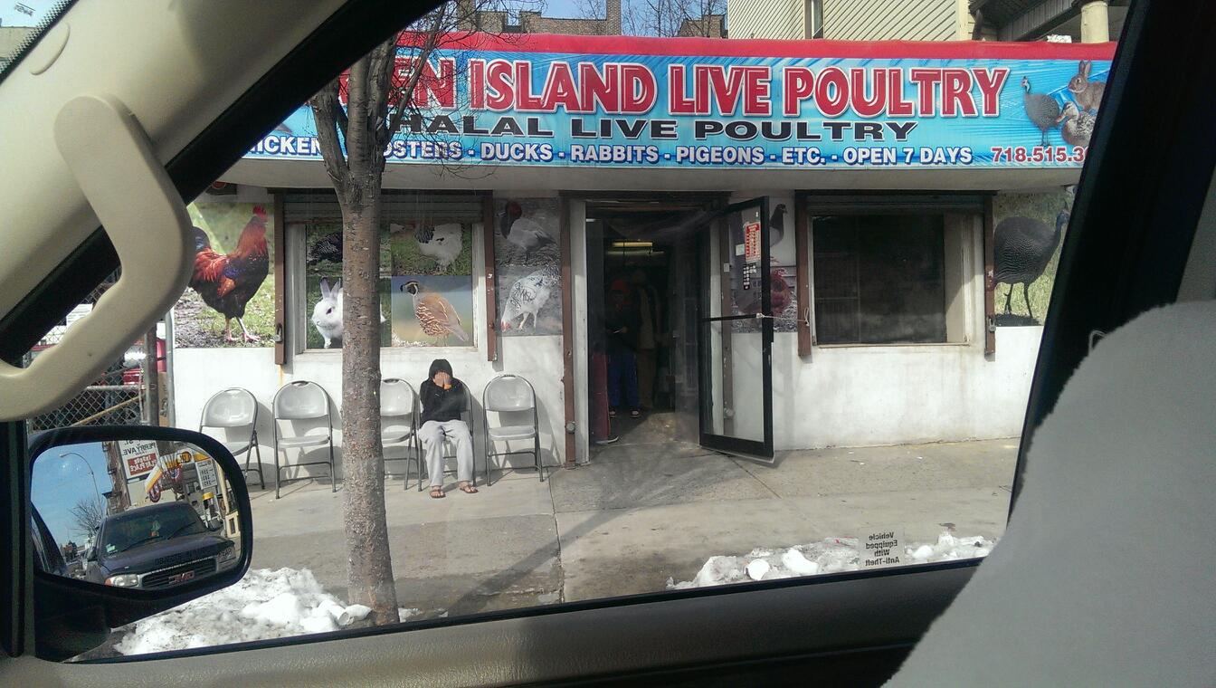 Photo of Green Island Live Poultry in Bronx City, New York, United States - 1 Picture of Food, Point of interest, Establishment, Store