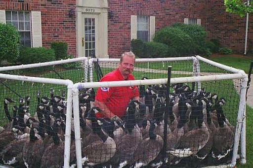Photo of National Goose Management in Rutherford City, New Jersey, United States - 6 Picture of Point of interest, Establishment, Store, Home goods store