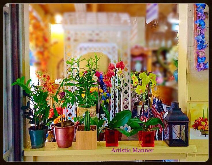 Photo of Artistic Manner Flower Shop & Greenhouse in Village of Pelham City, New York, United States - 9 Picture of Food, Point of interest, Establishment, Store, Home goods store, Florist
