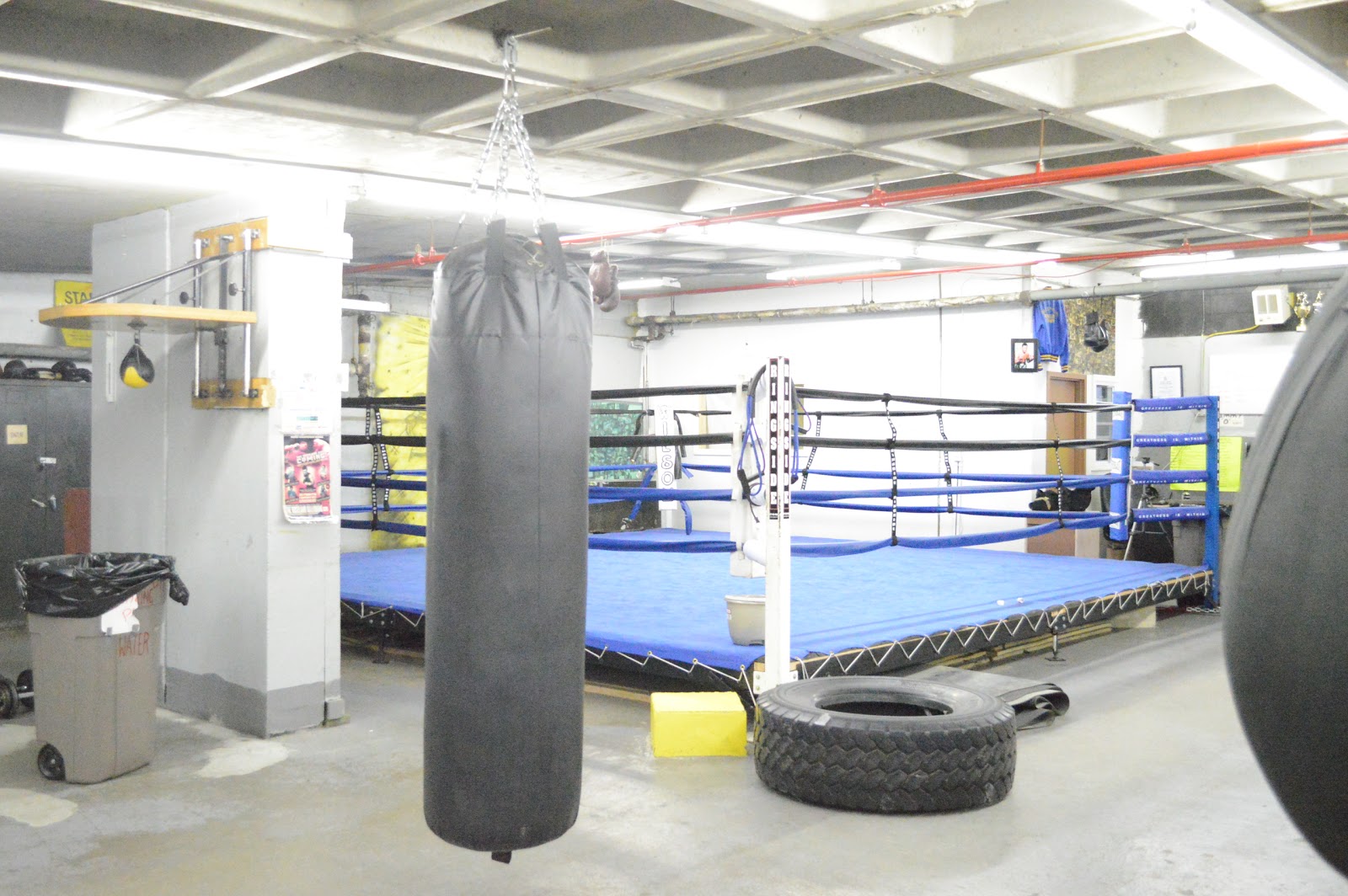 Photo of Starrett City Boxing Club in Brooklyn City, New York, United States - 8 Picture of Point of interest, Establishment, Health, Gym