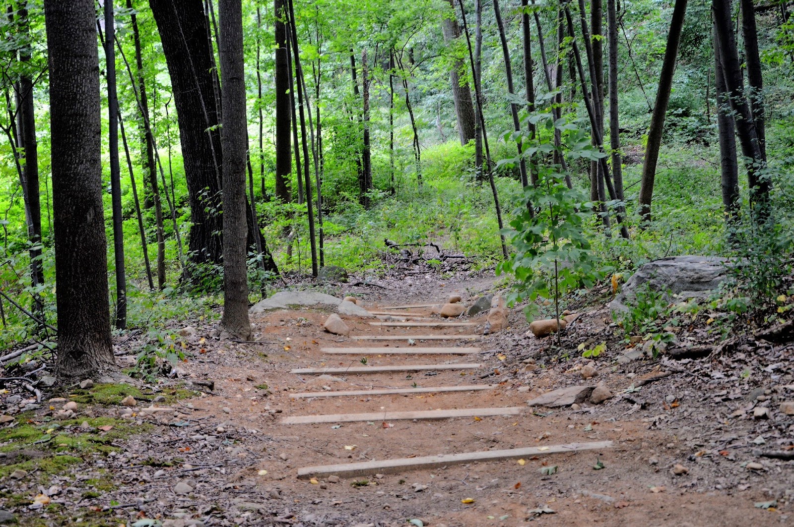 Photo of Friends of Van Cortlandt Park in Bronx City, New York, United States - 7 Picture of Point of interest, Establishment, Park