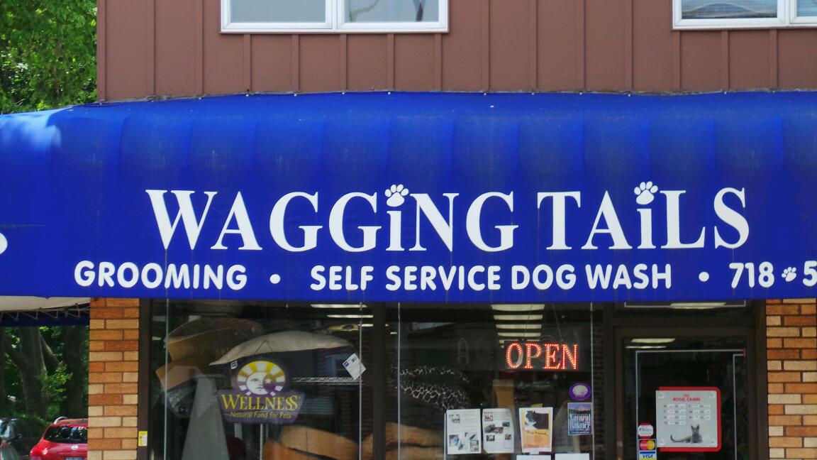 Photo of Wagging Tails in Forest Hills City, New York, United States - 2 Picture of Point of interest, Establishment, Store