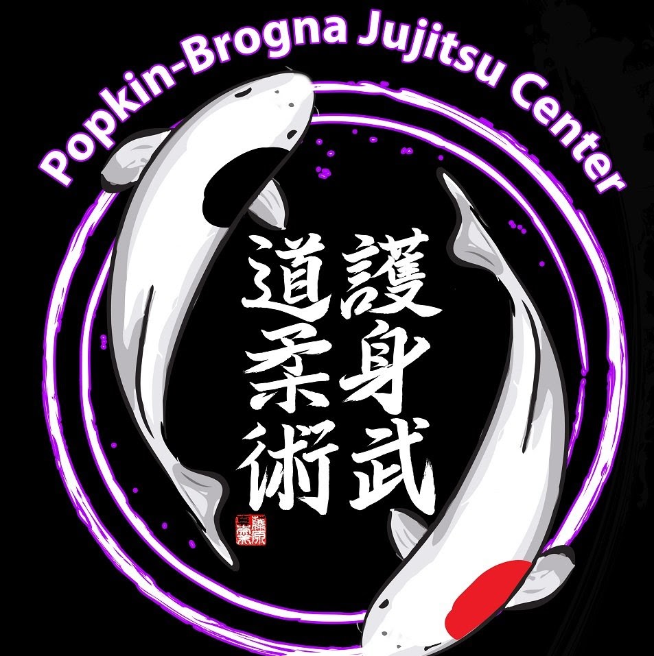 Photo of Popkin-Brogna Jujitsu Center in West Hempstead City, New York, United States - 3 Picture of Point of interest, Establishment, Health, Gym