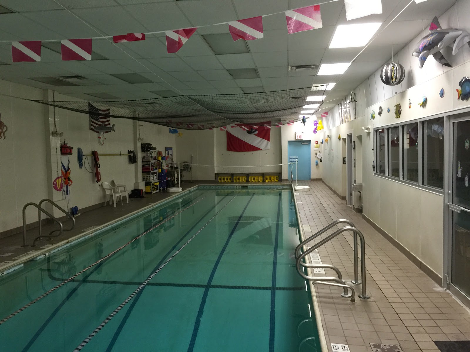 Photo of Swim and Scuba Long Island - Swimming and Scuba Instruction in Rockville Centre City, New York, United States - 8 Picture of Point of interest, Establishment, Store, Health