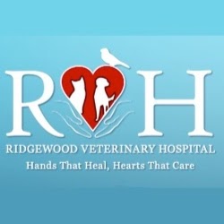 Photo of Ridgewood Veterinary Hospital in Midland Park City, New Jersey, United States - 9 Picture of Point of interest, Establishment, Health, Veterinary care