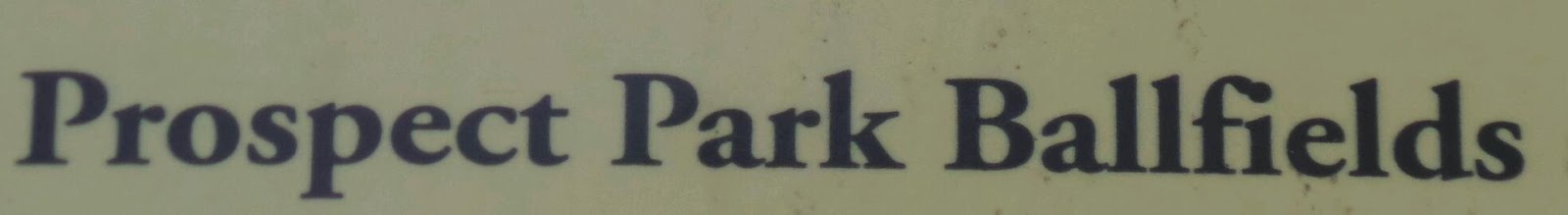 Photo of Long Meadow Ballfields in Brooklyn City, New York, United States - 7 Picture of Point of interest, Establishment, Park