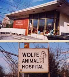 Photo of Wolfe Animal Hospital in Cedarhurst City, New York, United States - 1 Picture of Point of interest, Establishment, Veterinary care