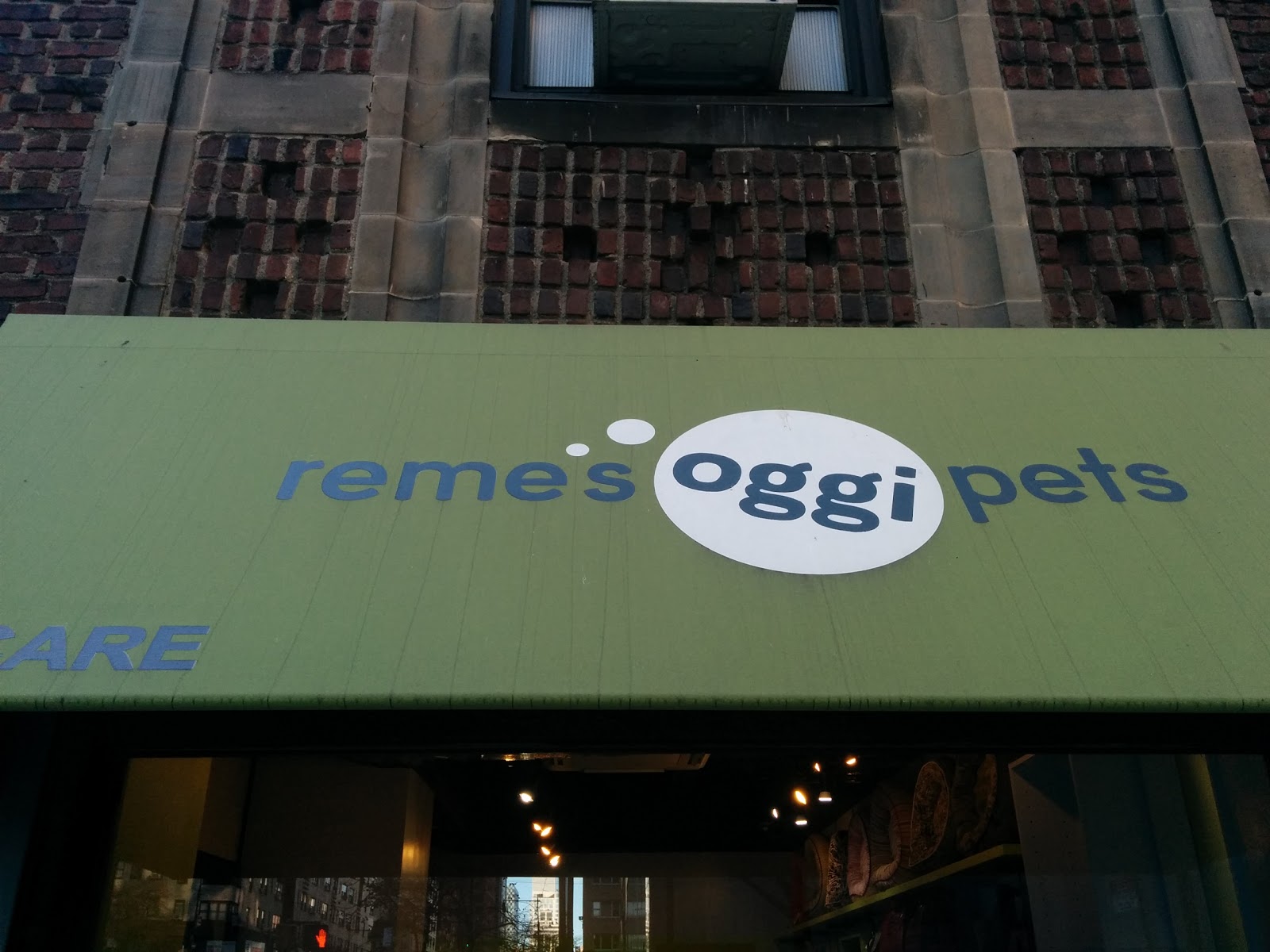 Photo of Reme's Oggi Pets Inc in New York City, New York, United States - 2 Picture of Point of interest, Establishment