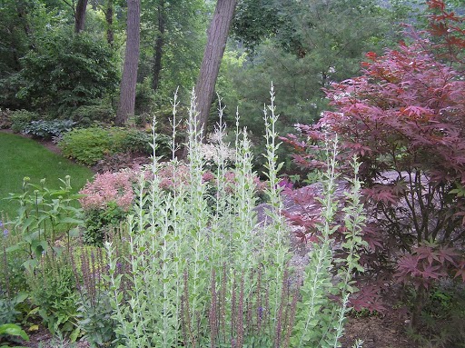 Photo of Pine Grove Tree & Shrub Care in Mamaroneck City, New York, United States - 2 Picture of Point of interest, Establishment, Park