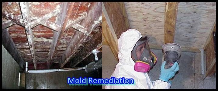 Photo of Advanced Mold Testing in Staten Island City, New York, United States - 1 Picture of Point of interest, Establishment, General contractor