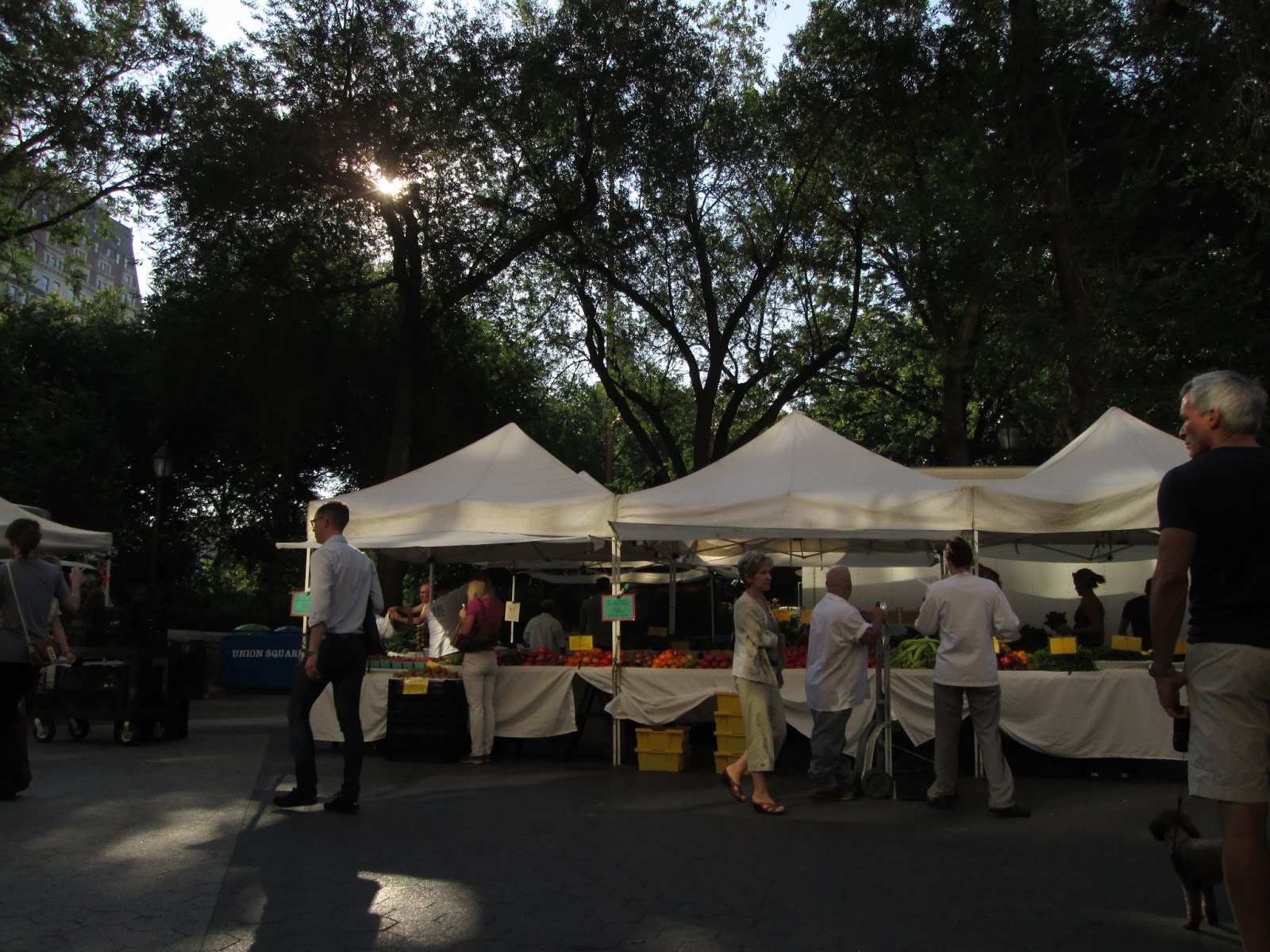 Photo of Union Square Greenmarket in New York City, New York, United States - 8 Picture of Food, Point of interest, Establishment