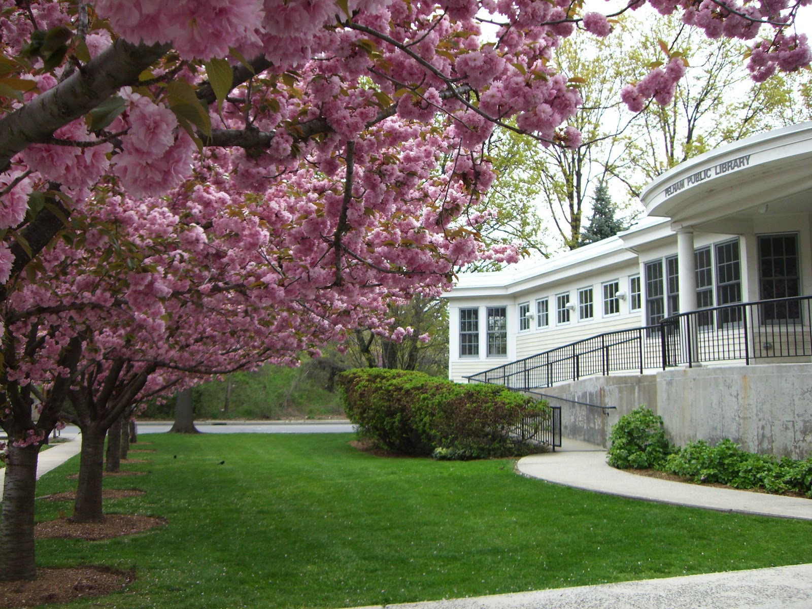 Photo of Town of Pelham Public Library in Pelham Manor City, New York, United States - 2 Picture of Point of interest, Establishment, Library