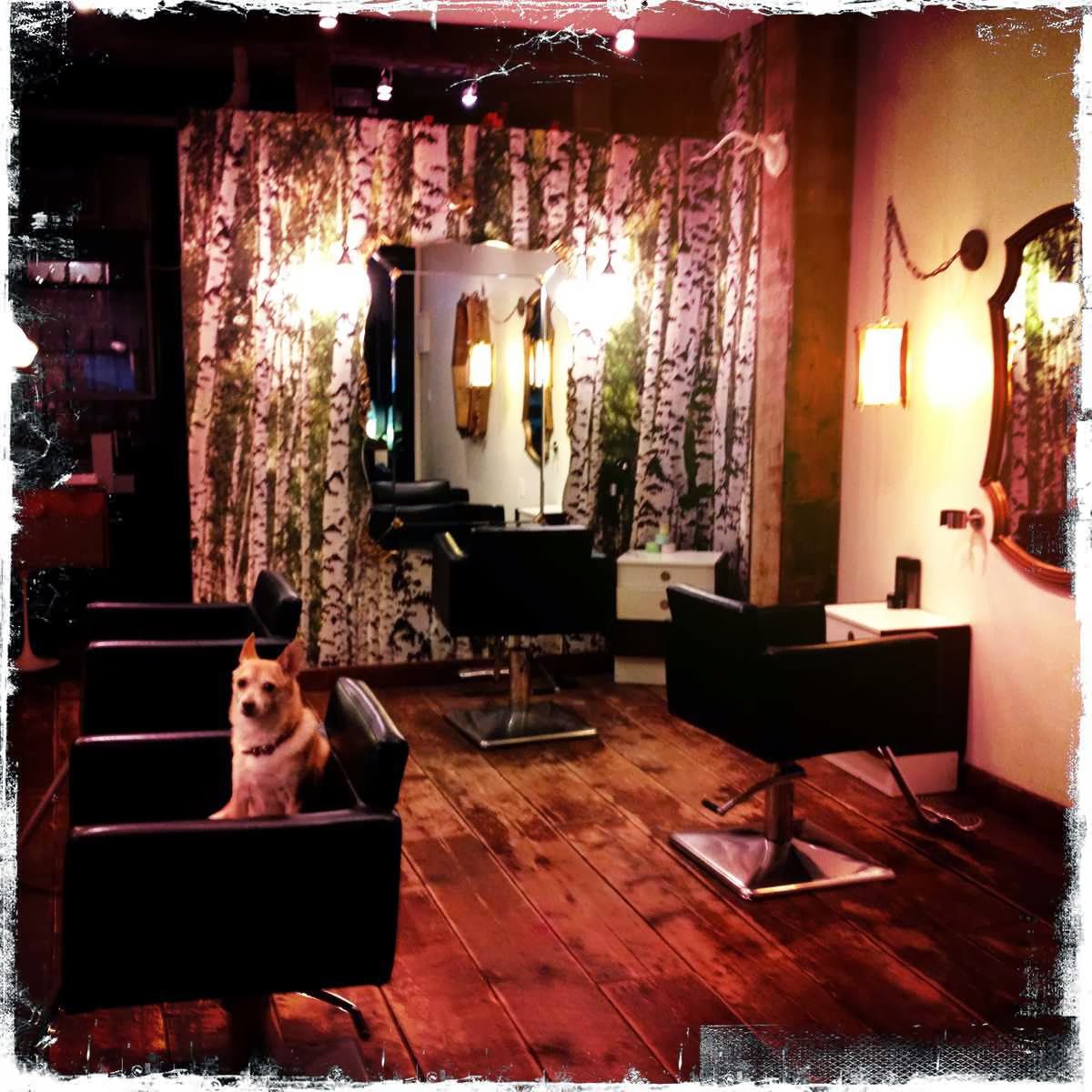 Photo of Twigs Hair Salon in New York City, New York, United States - 3 Picture of Point of interest, Establishment, Beauty salon, Hair care