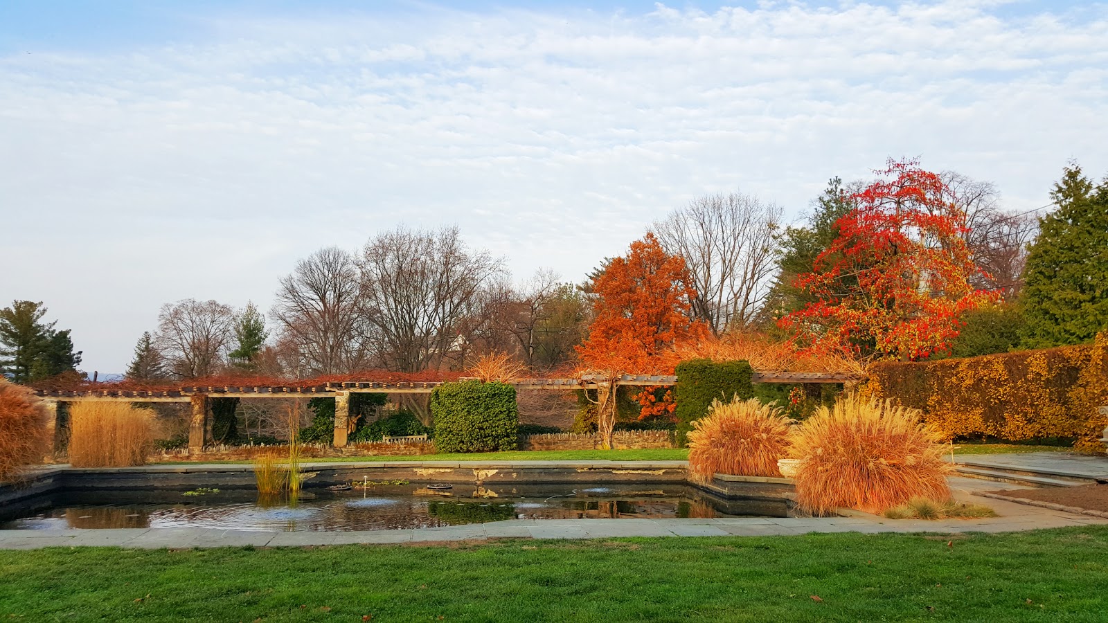 Photo of Wave Hill in Bronx City, New York, United States - 7 Picture of Point of interest, Establishment, Park, Art gallery